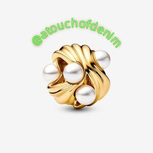 Pandora Abstract Waves Charm